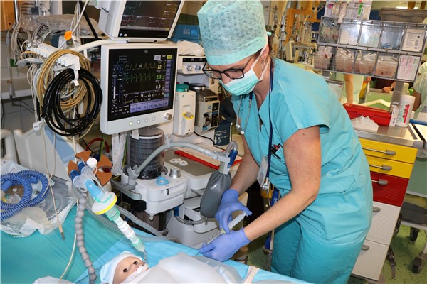 Ukázka aplikace anestezie. Foto: KZ, a. s./Petr Sochůrek