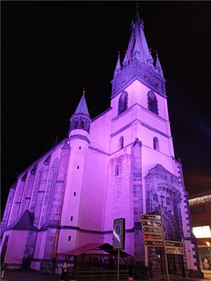 Kostel Nanebevzetí Panny Marie v Ústí nad Labem nasvítí purpurovou barvou ve středu 16. listopadu, v předvečer Světového dne předčasně narozených dětí.