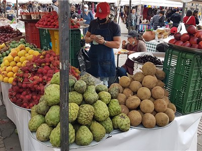 Bogotské tržiště s exotickými plody. Foto: Ivan Humhej