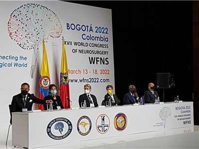 Plenární sekce kongresu WFNS v Bogotě. Foto: Ivan Humhej