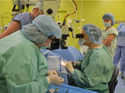 Lékařský tým pod vedením přednostky MUDr. Ivany Liehneové, Ph.D., zavádí do oka pacienta gelový implantát XEN ke snížení nitroočního tlaku. Foto: KZ, a. s./Petr Sochůrek
